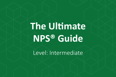 The Ultimate Guide to NPS (Level: Intermediate)